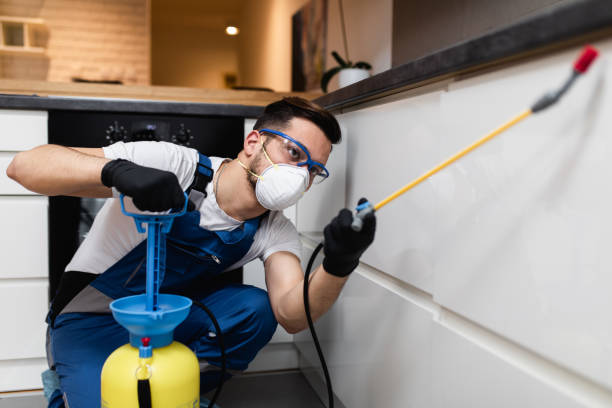 Best Pest Control Cost  in Buna, TX