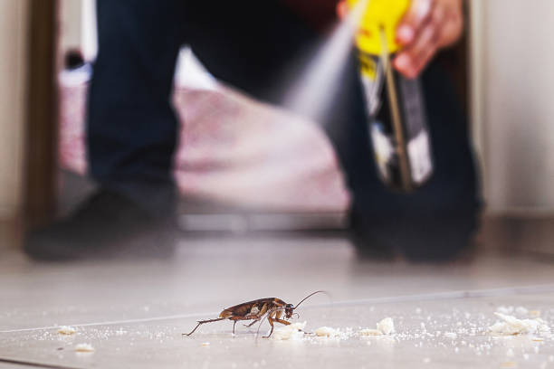 Best Commercial Pest Control Services  in Buna, TX