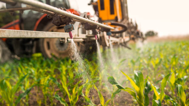 Best Pest Prevention Services  in Buna, TX